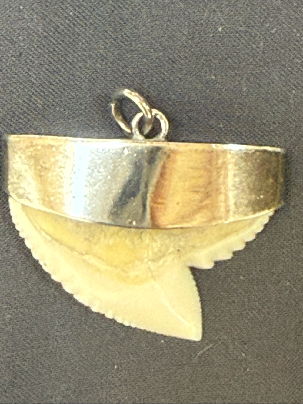 Vintage Silver Capped Shark Tooth Pendant Charm - Hallmarked